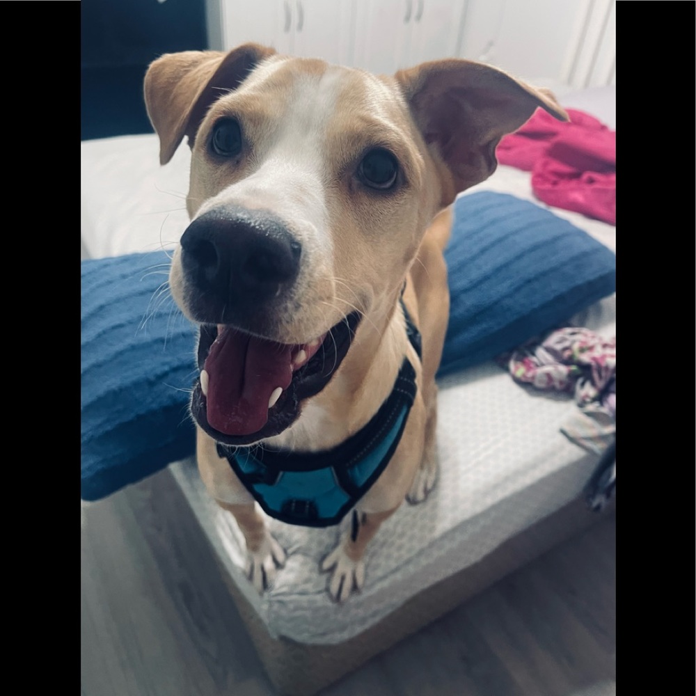 Meet your Posher, Vanessa